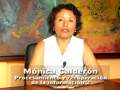 Diplomatura de Formación y Actualización en Ciencia de la Información - Procesamiento y recuperación de información 2 - Mónica Calderón Carranza 