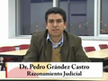 MPJ - Razonamiento judicial - Pedro Grandez 