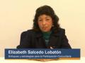 Enfoques y estrategias para la Participación Comunitaria - Elizabeth Salcedo