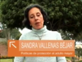 Diplomatura de Especialización en Gerontología Social - Políticas de protección al adulto mayor - Sandra Vallenas