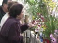 VIII Exposición Internacional de Orquídeas