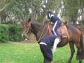 CABALLOS 3