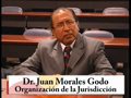 MPJ - Organización de la Jurisdicción - Juan Morales Godo