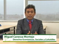 Derechos Económicos, Sociales y Culturales - Miguel Francisco Canessa Montejo