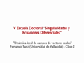 V Escuela Doctoral "Singularidades y Ecuaciones Diferenciales" - Curso "Dinámica local de campos de vectores reales" - Fernando Sanz (Universidad de V