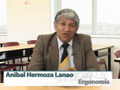 Diplomatura de Estudios en Seguridad y Salud en el Trabajo - Ergonomía - Anibal Hermoza Lanao